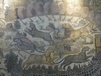 Ausgrabungsmuseum I
